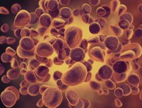 2018年6月1日（芝加哥）芝加哥AYA肿瘤学研讨会：青少年与青年白血病患者的治疗突破