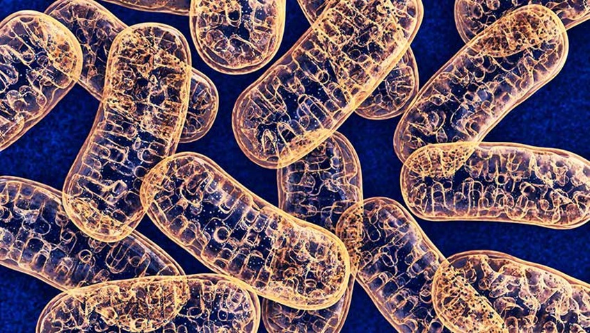 老药给缺乏精确治疗的癌症带来新的希望