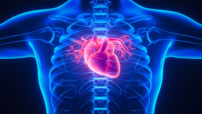 了解患者解剖结构如何为主动脉夹层带来更个性化的治疗