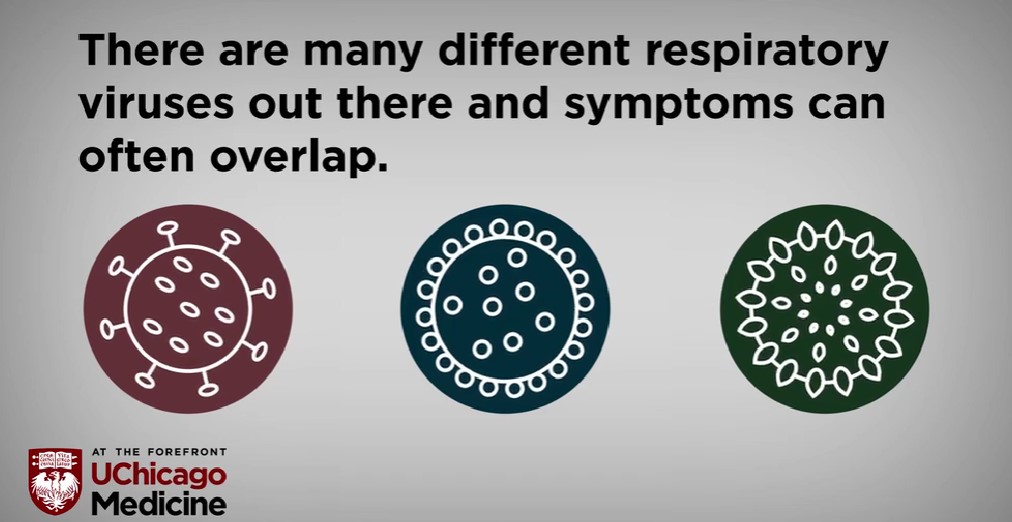 流感、新冠和过敏：保持安全和健康的小贴士