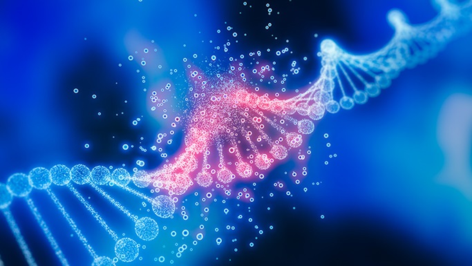 芝加哥大学医学中心：全美首批提供镰状细胞基因疗法的机构之一