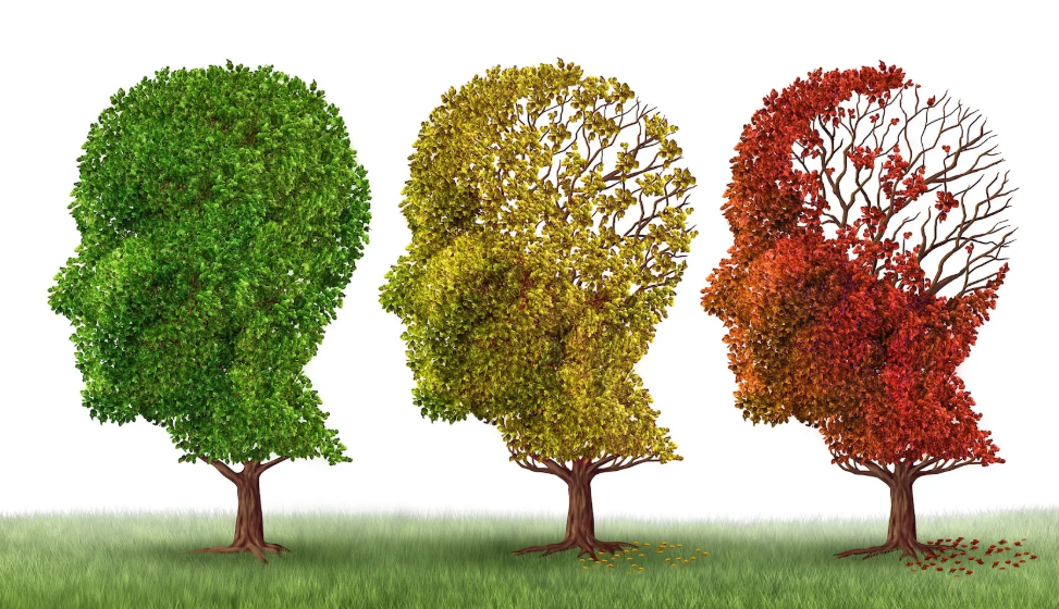 1773837583620941.png 1773837583620941.png